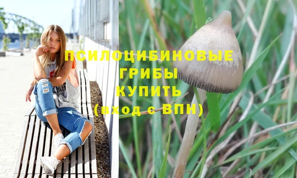 МДПВ Осинники