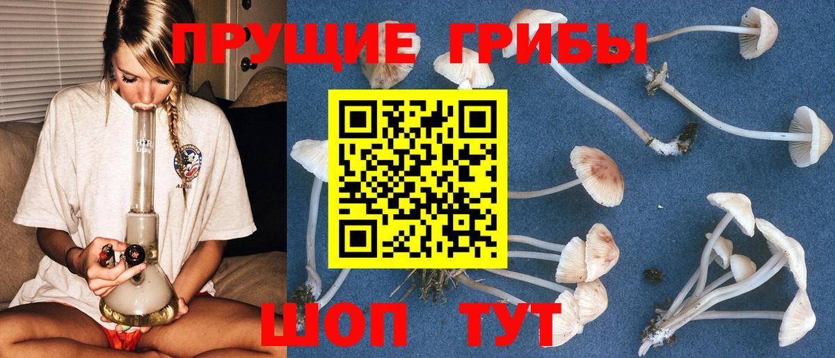 Галлюциногенные грибы GOLDEN TEACHER  Вход с VPN  Кондопога 